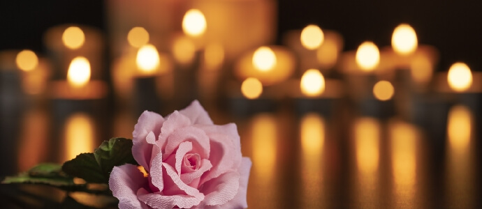 a rose with tea lights behind it